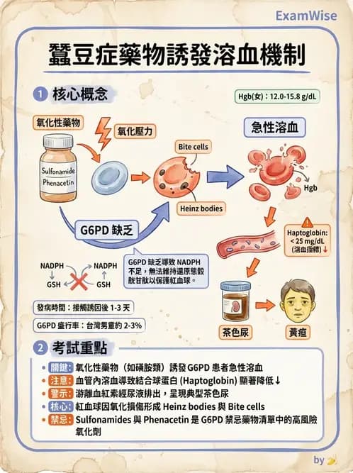 物治 - 內科疾病概論 - AI 圖文解析預覽