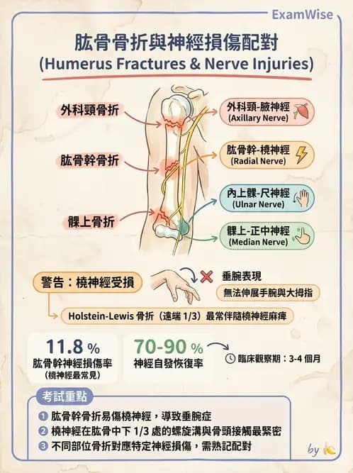 物治 - 脊髓與周邊神經疾病 - AI 圖文解析預覽