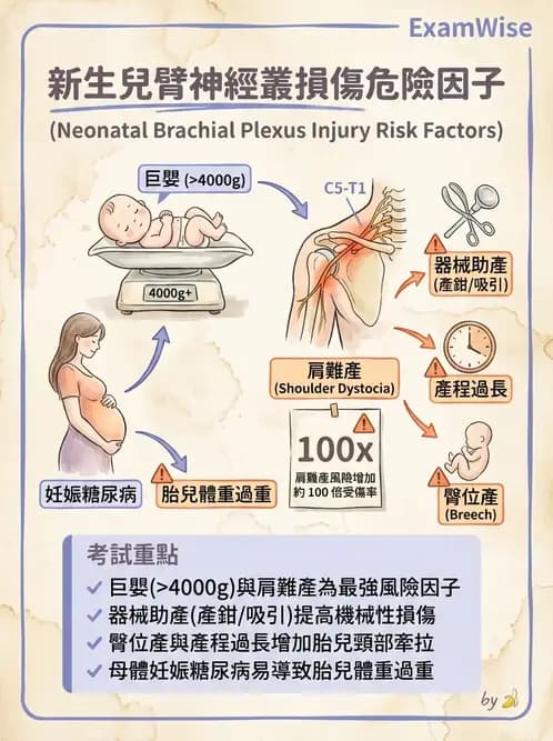 物治 - 脊髓與周邊神經疾病 - AI 圖文解析預覽