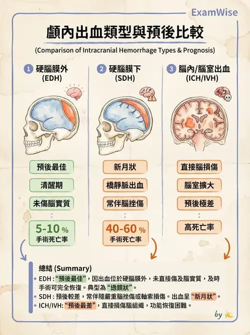 物治 - 腦血管疾病與腦外傷 - AI 圖文解析預覽