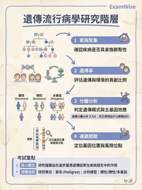 物治 - 流行病學與健康篩檢 - AI 圖文解析預覽