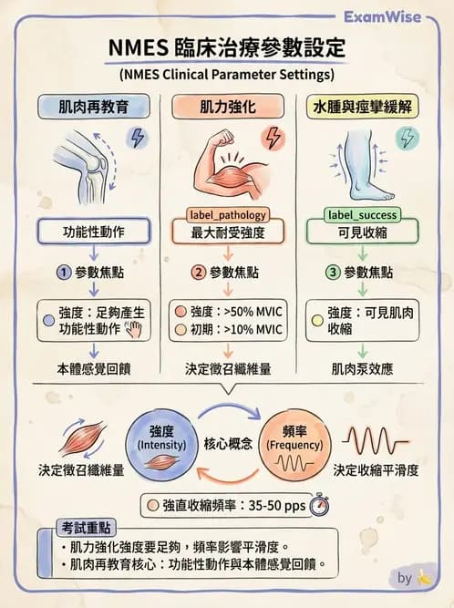 物治 - 神經肌肉電刺激 - AI 圖文解析預覽