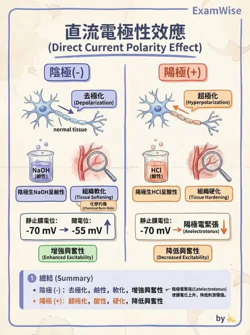 物治 - 離子導入法 - AI 圖文解析預覽