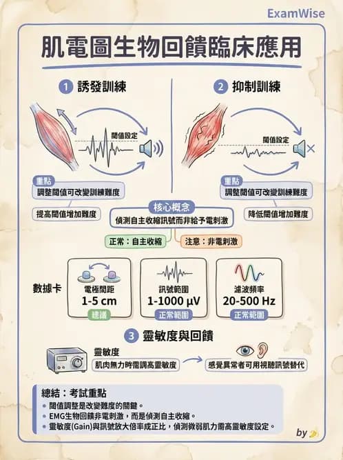 物治 - 肌電生物回饋 - AI 圖文解析預覽