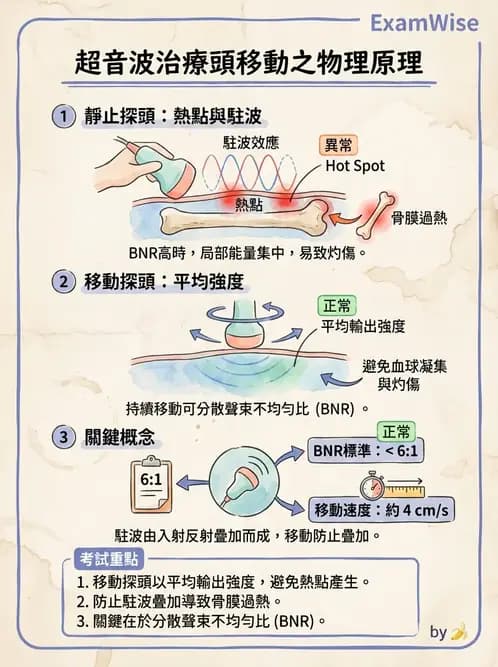 物治 - 超音波 - AI 圖文解析預覽