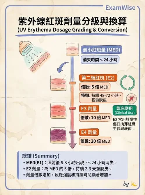 物治 - 紫外光 - AI 圖文解析預覽
