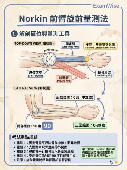 物治 - 上肢關節活動度 - AI 圖文解析預覽