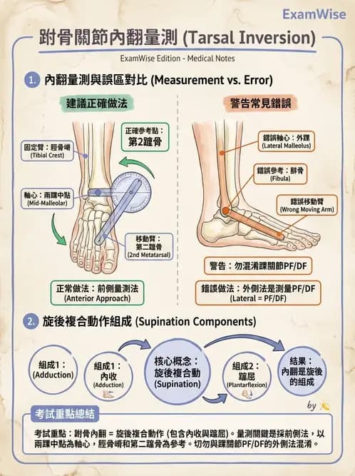 物治 - 下肢與脊椎關節活動度 - AI 圖文解析預覽
