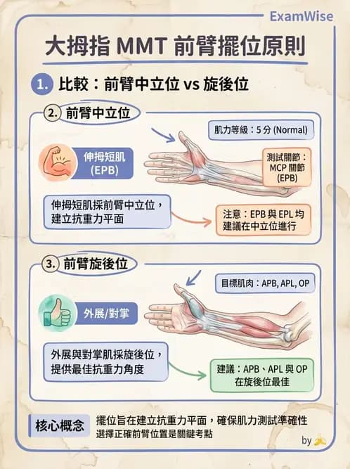 物治 - 上肢徒手肌力測試 - AI 圖文解析預覽