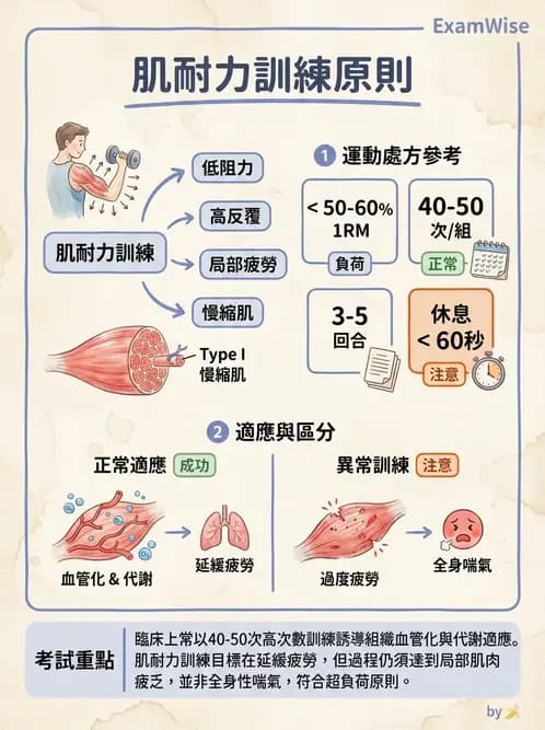 物治 - 肌耐力與神經肌肉適應 - AI 圖文解析預覽