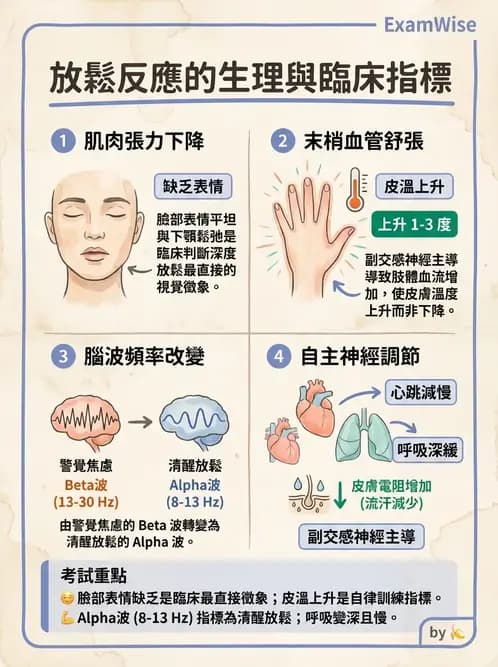 物治 - 懸吊系統與放鬆 - AI 圖文解析預覽