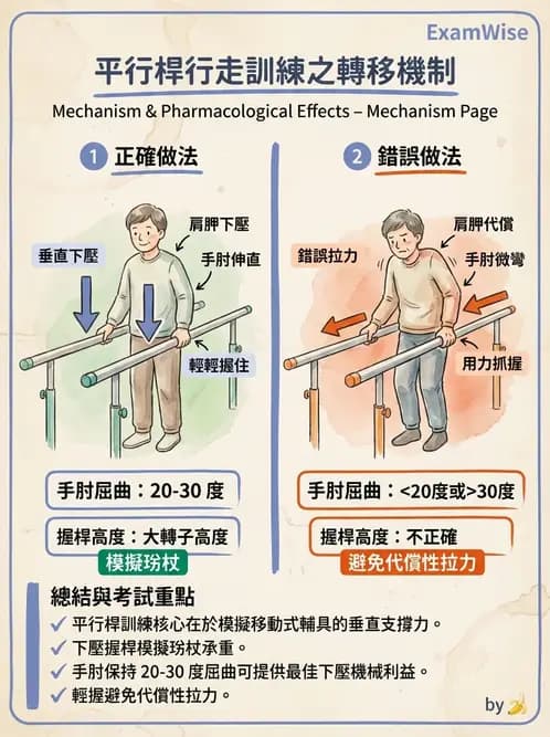 物治 - 行走評估與訓練 - AI 圖文解析預覽