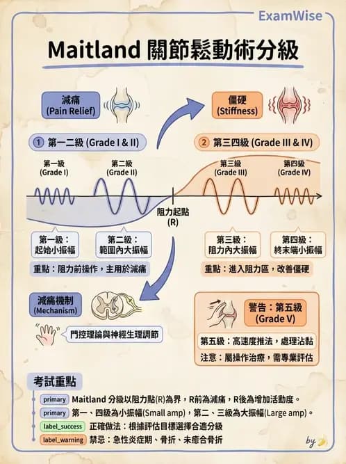 物治 - 鬆動術分級理論 - AI 圖文解析預覽