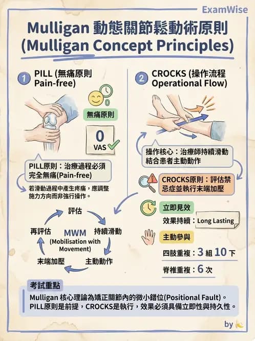 物治 - 鬆動術臨床應用 - AI 圖文解析預覽