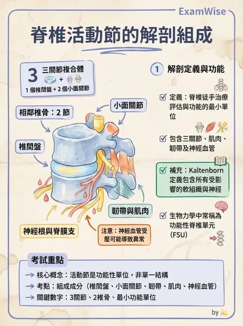 物治 - 脊椎鬆動術 - AI 圖文解析預覽