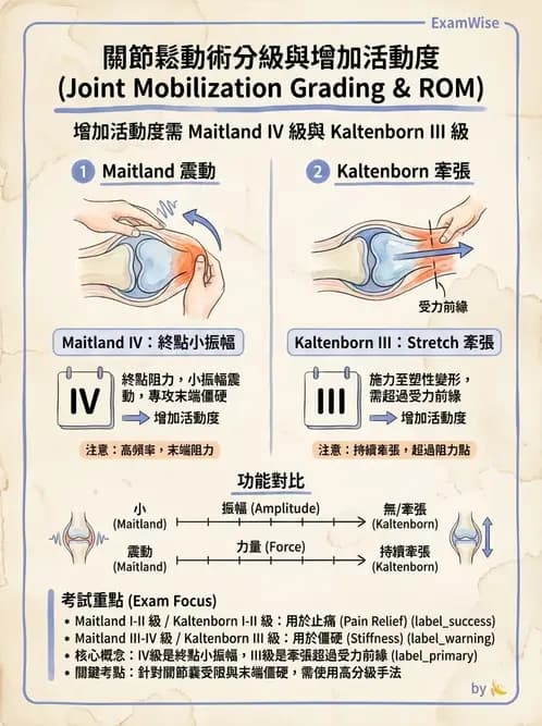 物治 - 鬆動術分級理論 - AI 圖文解析預覽