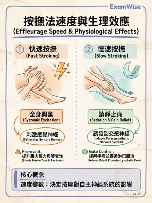 物治 - 瑞典式按摩與運動按摩 - AI 圖文解析預覽