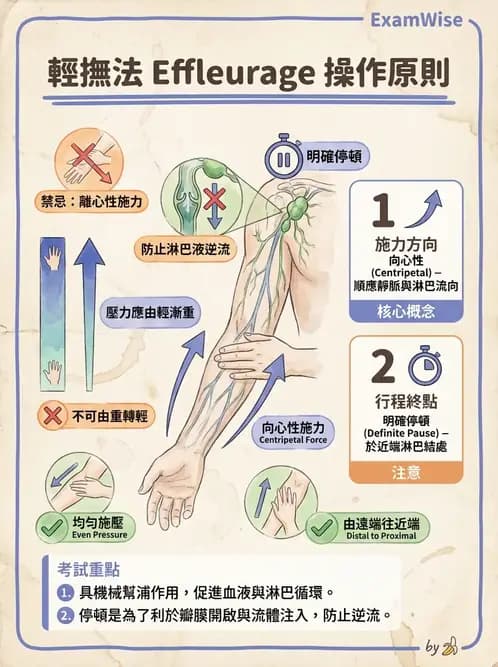物治 - 瑞典式按摩與運動按摩 - AI 圖文解析預覽