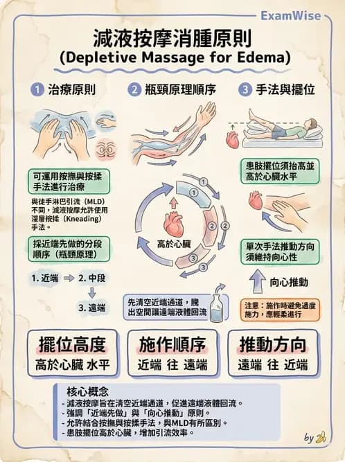 物治 - 淋巴水腫與徒手淋巴引流 - AI 圖文解析預覽