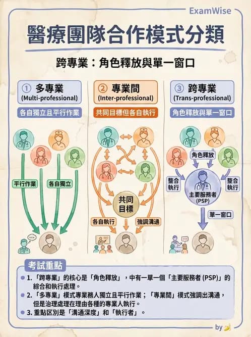 物治 - 跨團隊專業與長照 - AI 圖文解析預覽