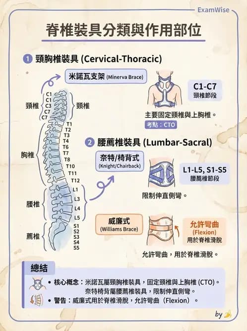 物治 - 裝具與矯具 - AI 圖文解析預覽