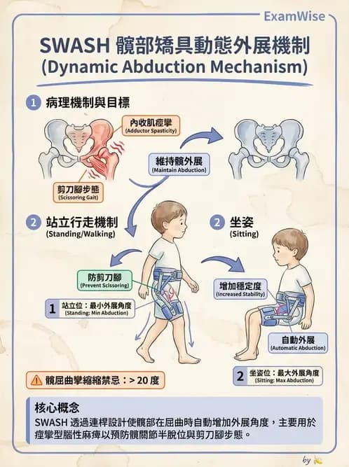 物治 - 裝具與矯具 - AI 圖文解析預覽