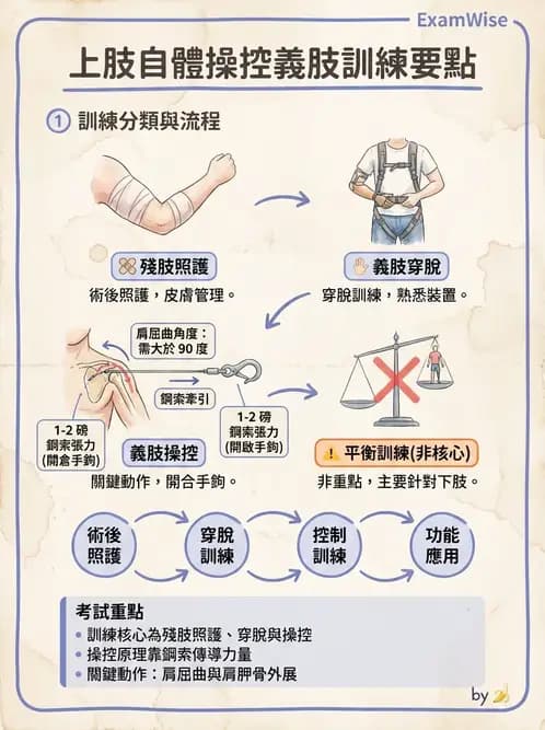物治 - 義肢 - AI 圖文解析預覽