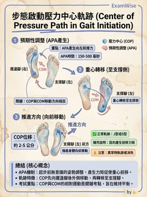 物治 - 動作控制理論 - AI 圖文解析預覽