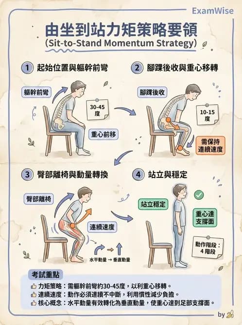 物治 - 腦中風姿勢控制平衡與轉位 - AI 圖文解析預覽