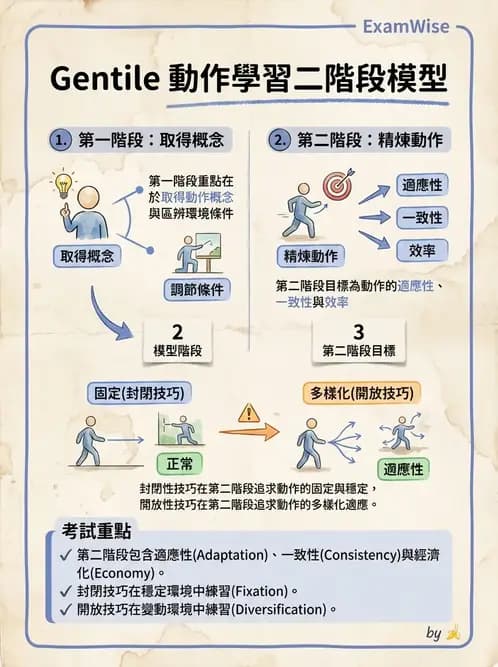 物治 - 動作學習 - AI 圖文解析預覽