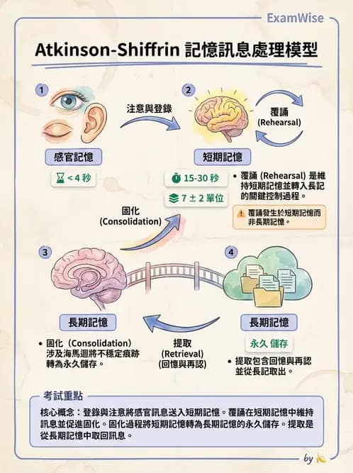 物治 - 動作學習 - AI 圖文解析預覽