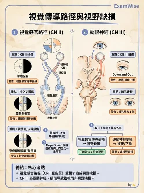 物治 - 腦中風感覺知覺與認知 - AI 圖文解析預覽