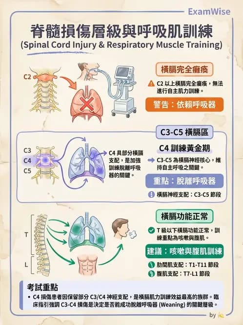 物治 - SCI併發症與呼吸管理 - AI 圖文解析預覽