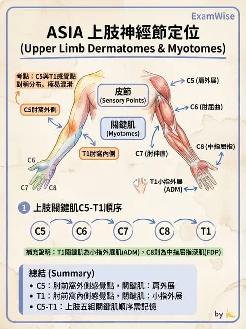 物治 - SCI評估分類與症候群 - AI 圖文解析預覽