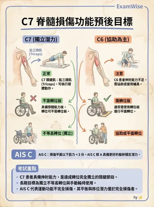 物治 - SCI功能預後與復健訓練 - AI 圖文解析預覽