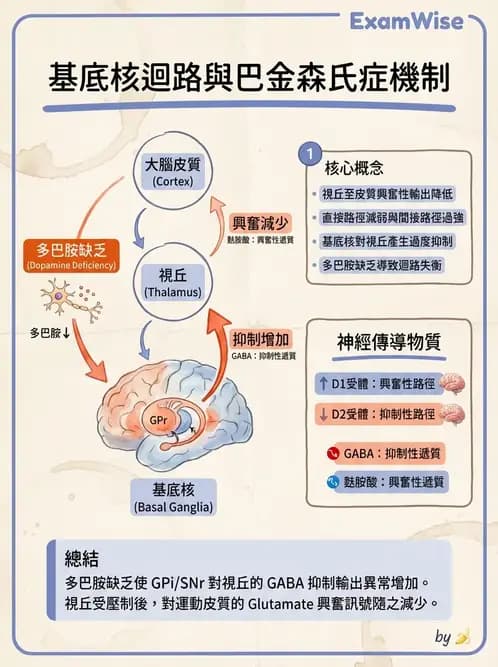 物治 - 巴金森氏病物理治療 - AI 圖文解析預覽