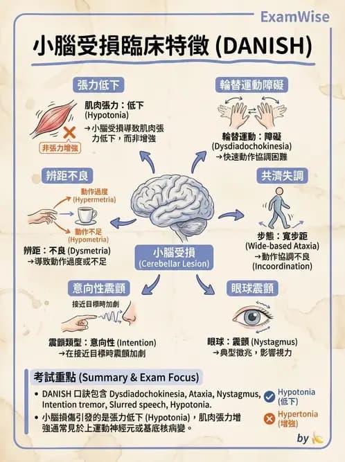 物治 - 小腦疾病物理治療 - AI 圖文解析預覽