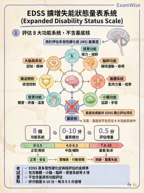 物治 - 多發性硬化症物理治療 - AI 圖文解析預覽