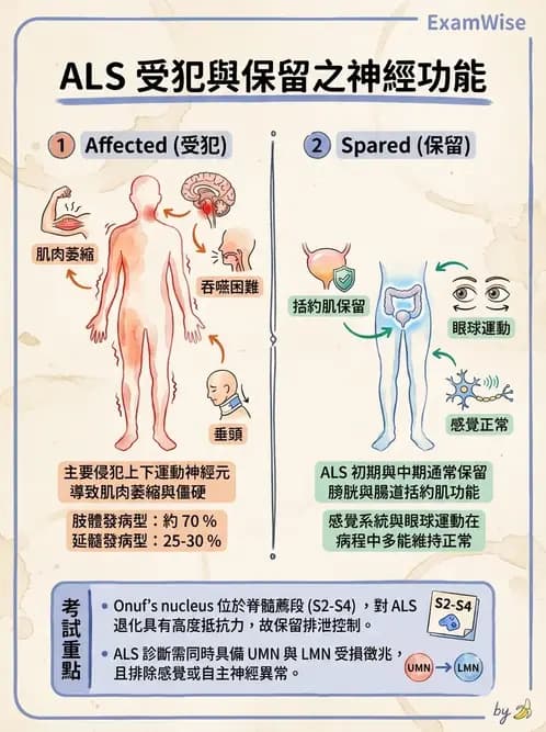 物治 - 運動神經元疾病與其他中樞疾病 - AI 圖文解析預覽