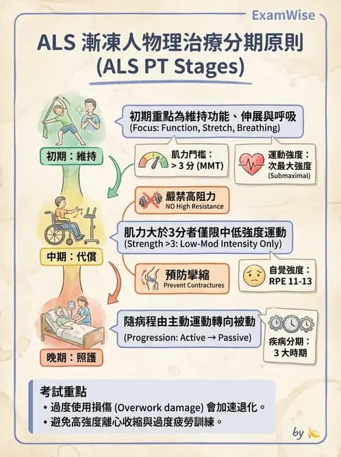 物治 - 運動神經元疾病與其他中樞疾病 - AI 圖文解析預覽