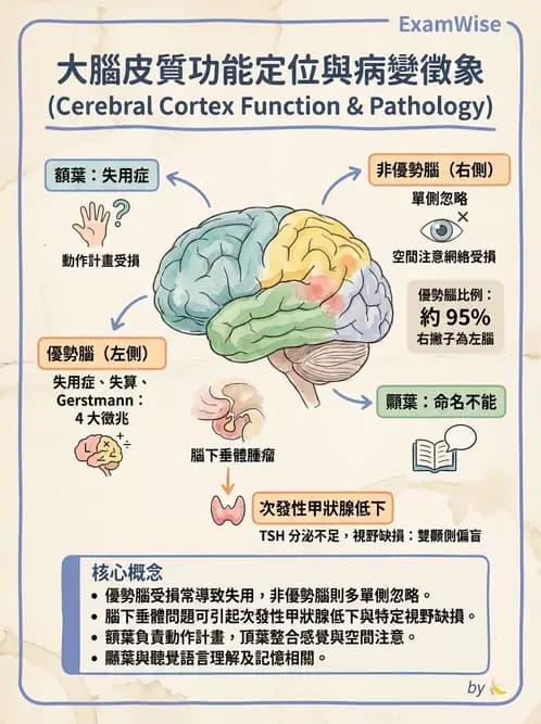 物治 - 運動神經元疾病與其他中樞疾病 - AI 圖文解析預覽