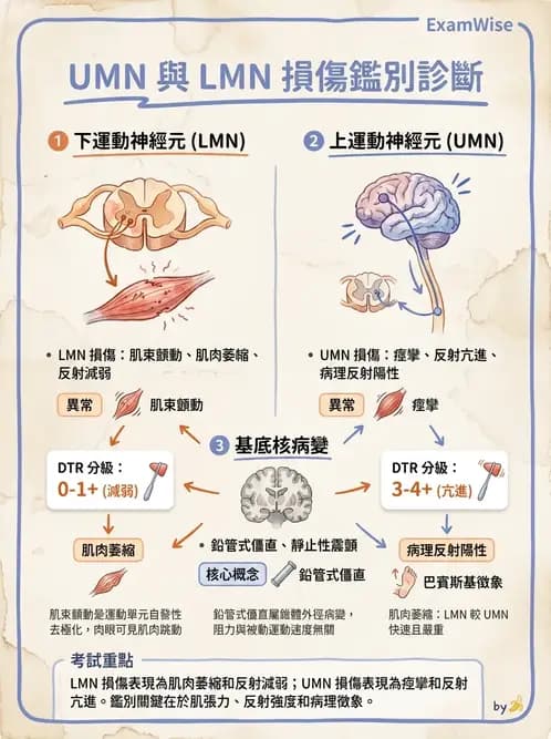 物治 - 周邊神經損傷與復健 - AI 圖文解析預覽
