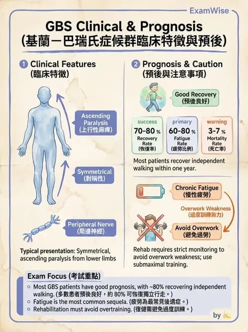 物治 - 神經肌肉疾病 - AI 圖文解析預覽