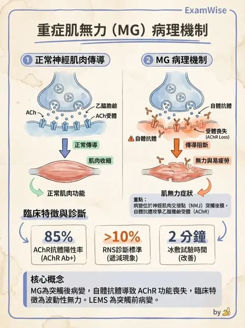 物治 - 神經肌肉疾病 - AI 圖文解析預覽