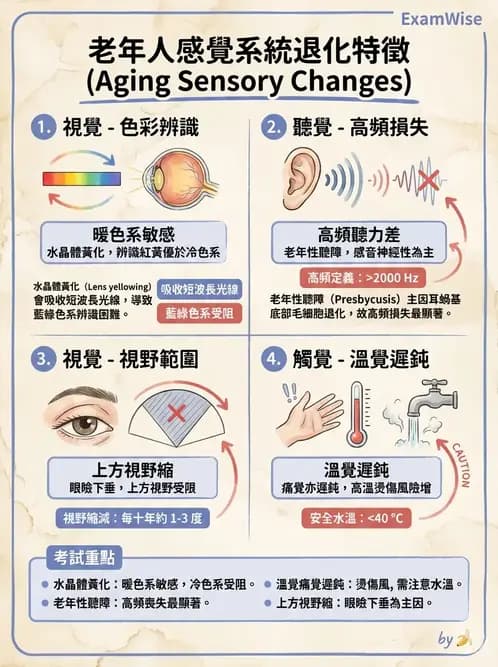 物治 - 跌倒預防與平衡訓練 - AI 圖文解析預覽