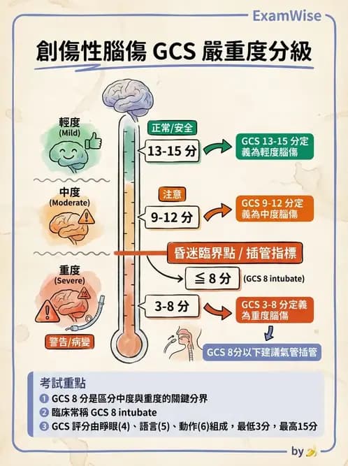 物治 - TBI病理評估與GCS - AI 圖文解析預覽