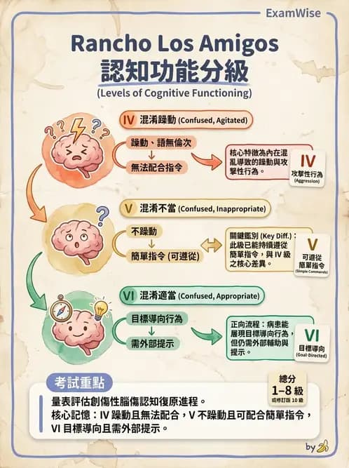 物治 - TBI LOCF分級與復健 - AI 圖文解析預覽