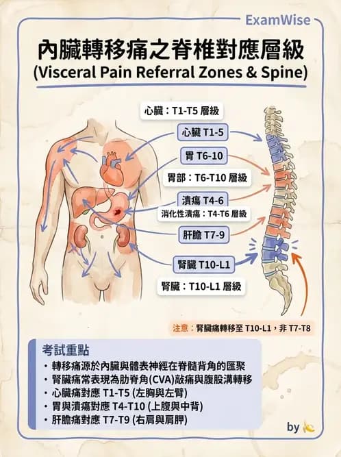 物治 - 初級照護與鑑別診斷 - AI 圖文解析預覽