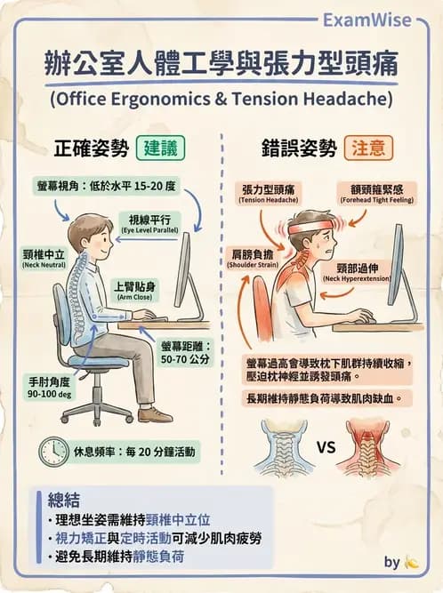 物治 - 頸椎評估與病理 - AI 圖文解析預覽