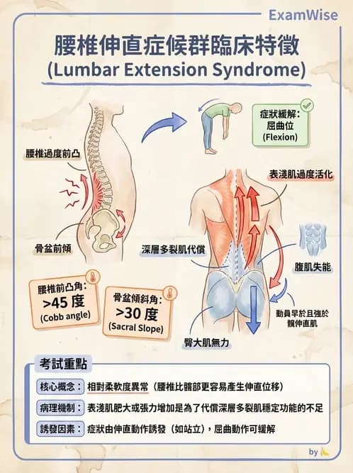 物治 - 腰椎穩定訓練與治療原則 - AI 圖文解析預覽